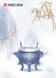 似谍非谍 小说