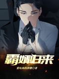 霸婿归来小说