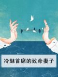 冷魅首席的致命妻子