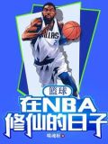 主角在nba的系统篮球小说