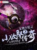 宠物小精灵之小次郎传奇 小说