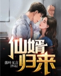 仙婿归来