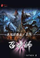 英雄联盟最强召唤师小说