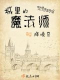 城里的魔法师